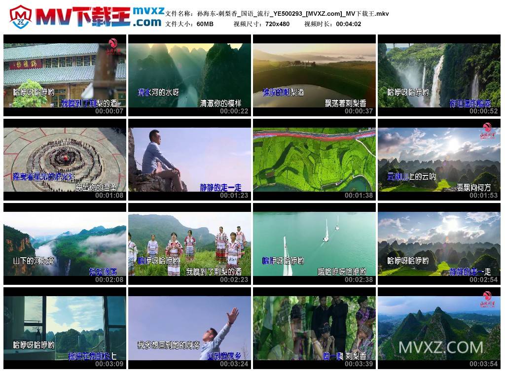 孙海东-刺梨香_国语_流行_YE500293
